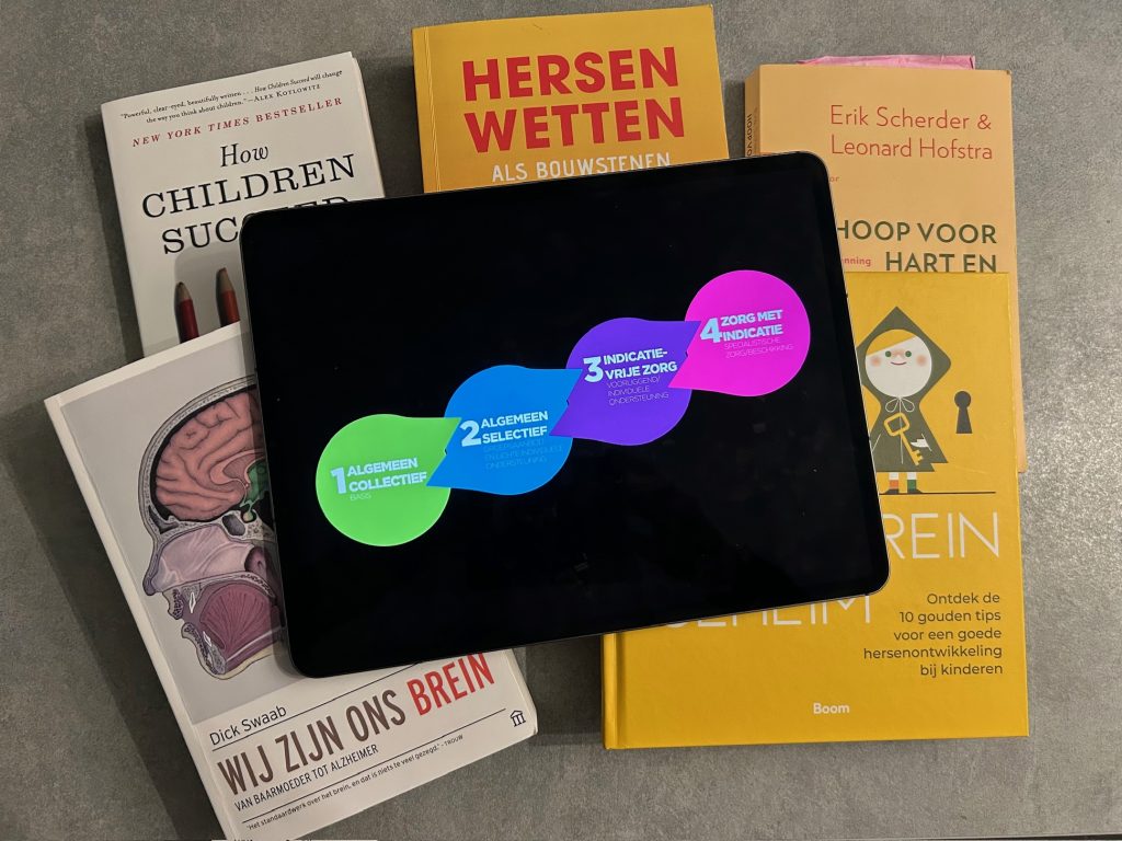transformatie van de jeugdhulp breinbeleid strategie en beleid programmamanagement